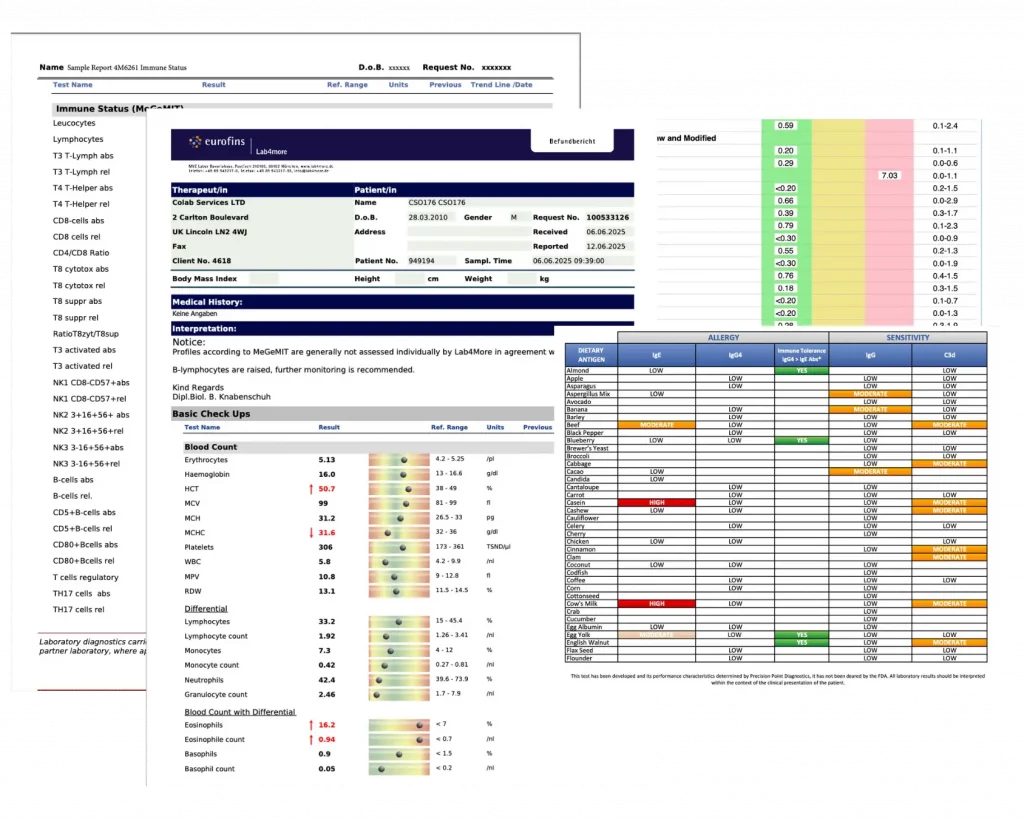 IVF Support & Male Fertility Report Example