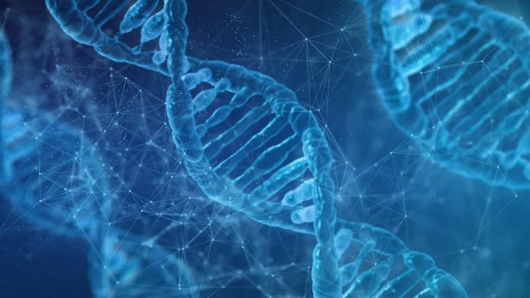 DNA double helix representing nutrigenomic analysis used in Precision Nutrition to create a personalised health plan.