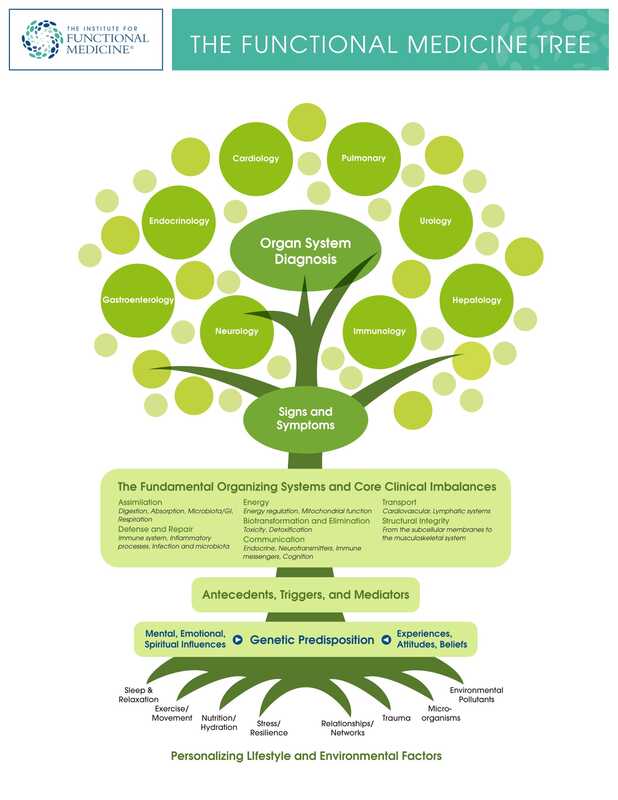 A functional medicine tree diagram showing how upstream factors influence downstream symptoms, illustrating the systems based approach used in Functional Nutrition.